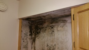 Mold Remediation in Anne Arundel County, Maryland