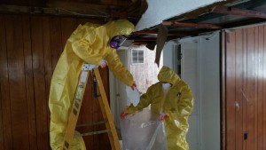 Water Damage Repair in Anne Arundel County, MD